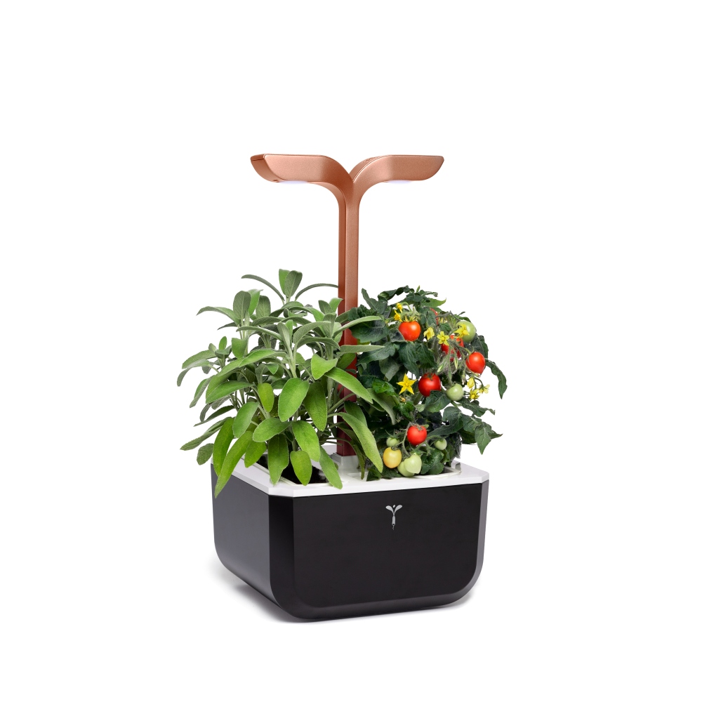 Exky® self- sufficient indoor gardens - 2 slots